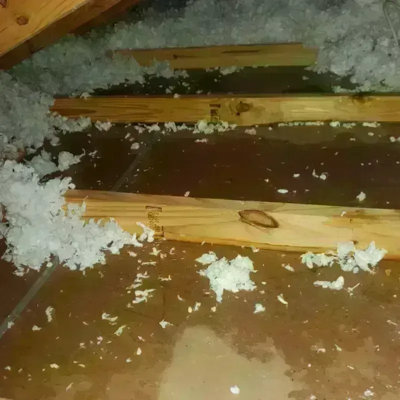 Attic Water Damage in Humboldt, KS