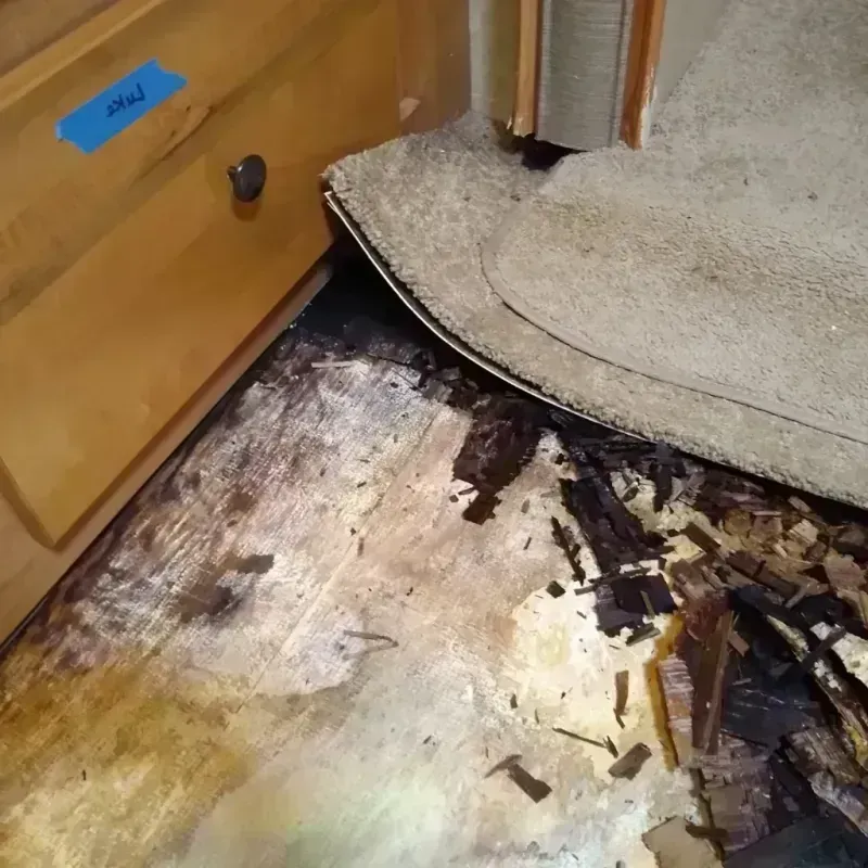 Wood Floor Water Damage in Humboldt, KS